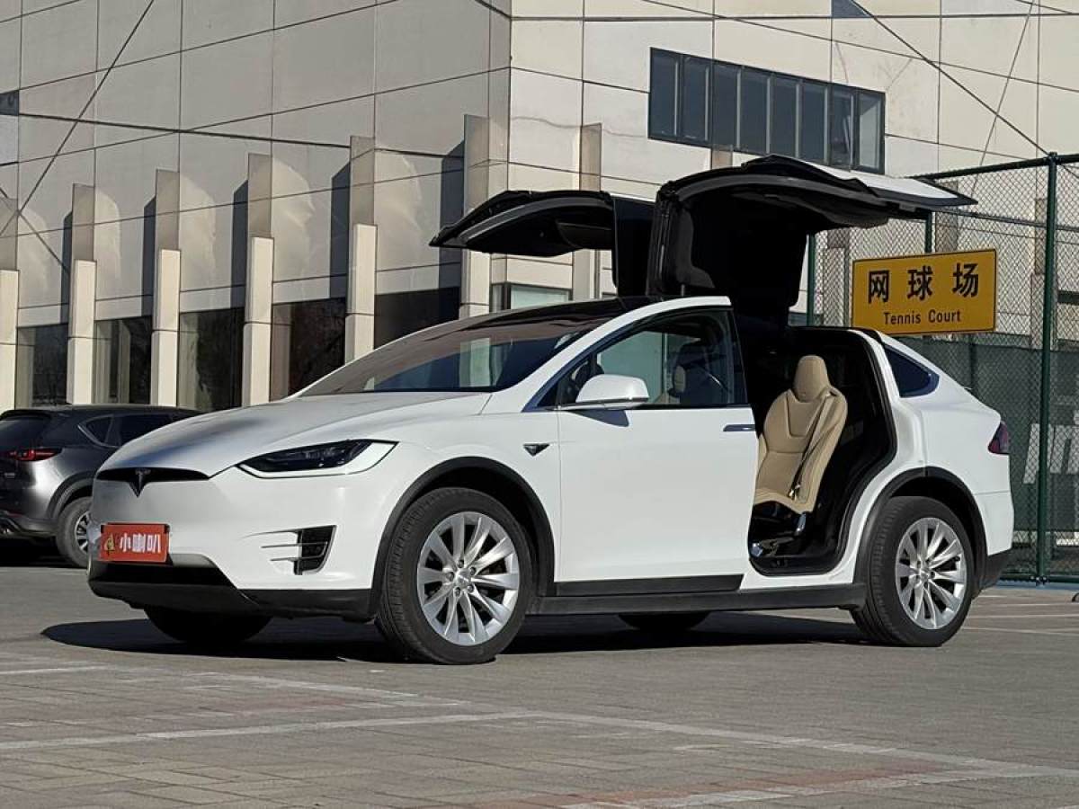 特斯拉 Model X  2016款 Model X 90D圖片