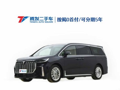 2024年1月 嵐圖 夢(mèng)想家 PHEV 超長(zhǎng)續(xù)航尊貴版圖片