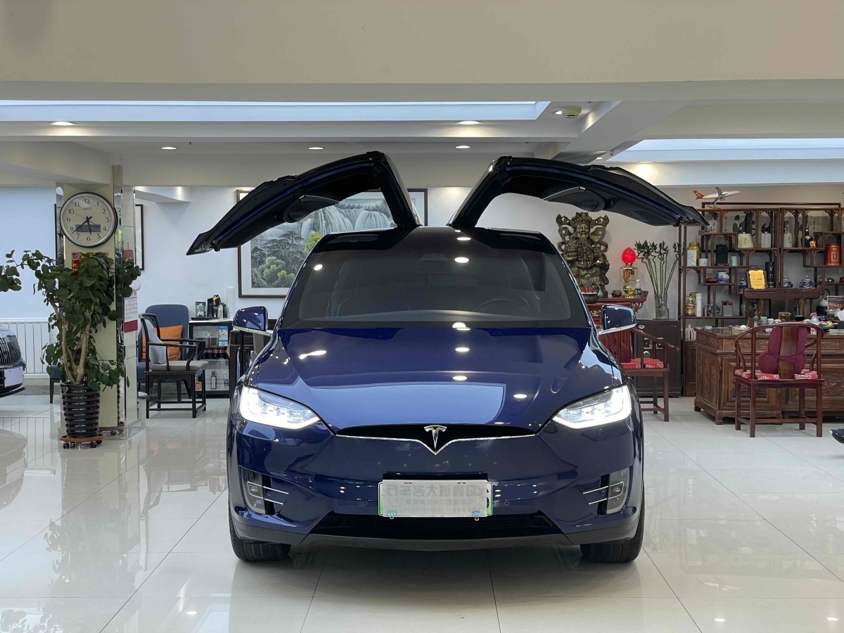 特斯拉 Model X  2016款 Model X 90D圖片