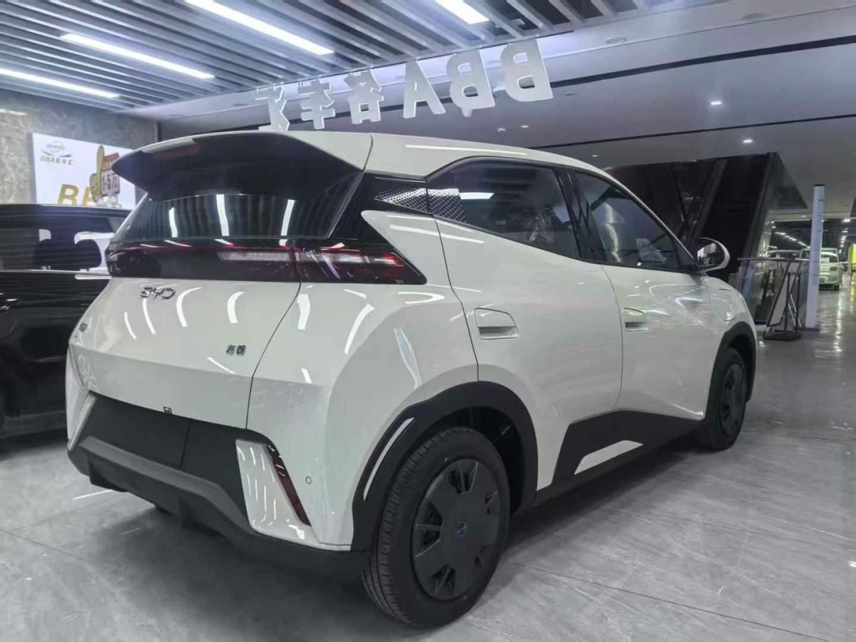 比亞迪 漢  2024款 EV 榮耀版 610KM四驅(qū)天神之眼智駕型圖片