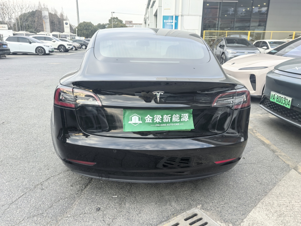 特斯拉 Model 3  2019款 長續(xù)航后驅(qū)版圖片