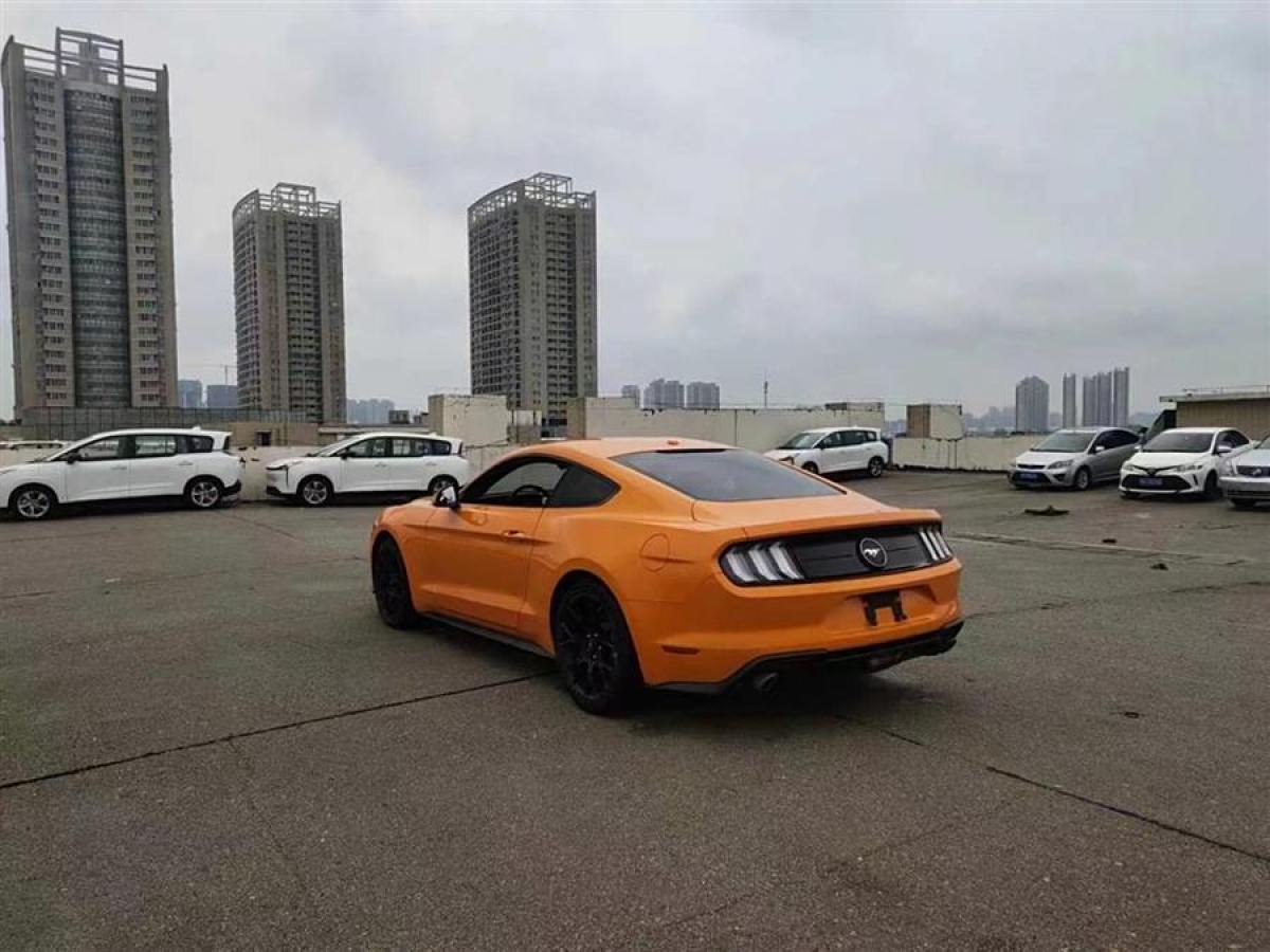 福特 Mustang  2019款 2.3L EcoBoost圖片