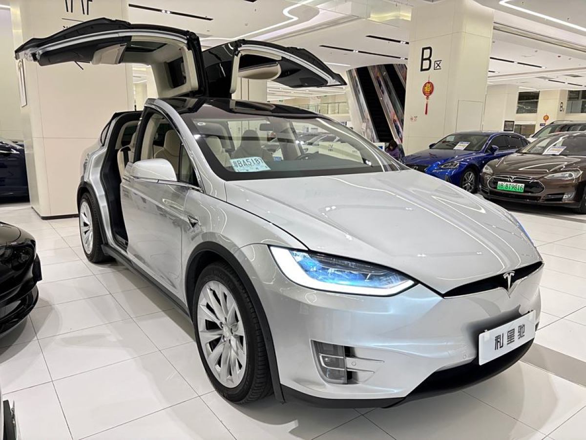 特斯拉 Model X  2017款 Model X 100D 長續(xù)航版圖片