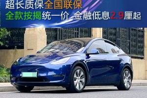 Model Y 特斯拉 標(biāo)準(zhǔn)續(xù)航后驅(qū)版