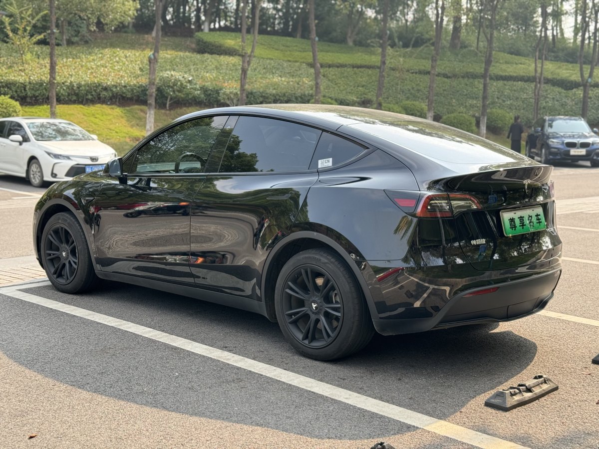 特斯拉 Model Y  2020款 改款 長續(xù)航后輪驅(qū)動版圖片