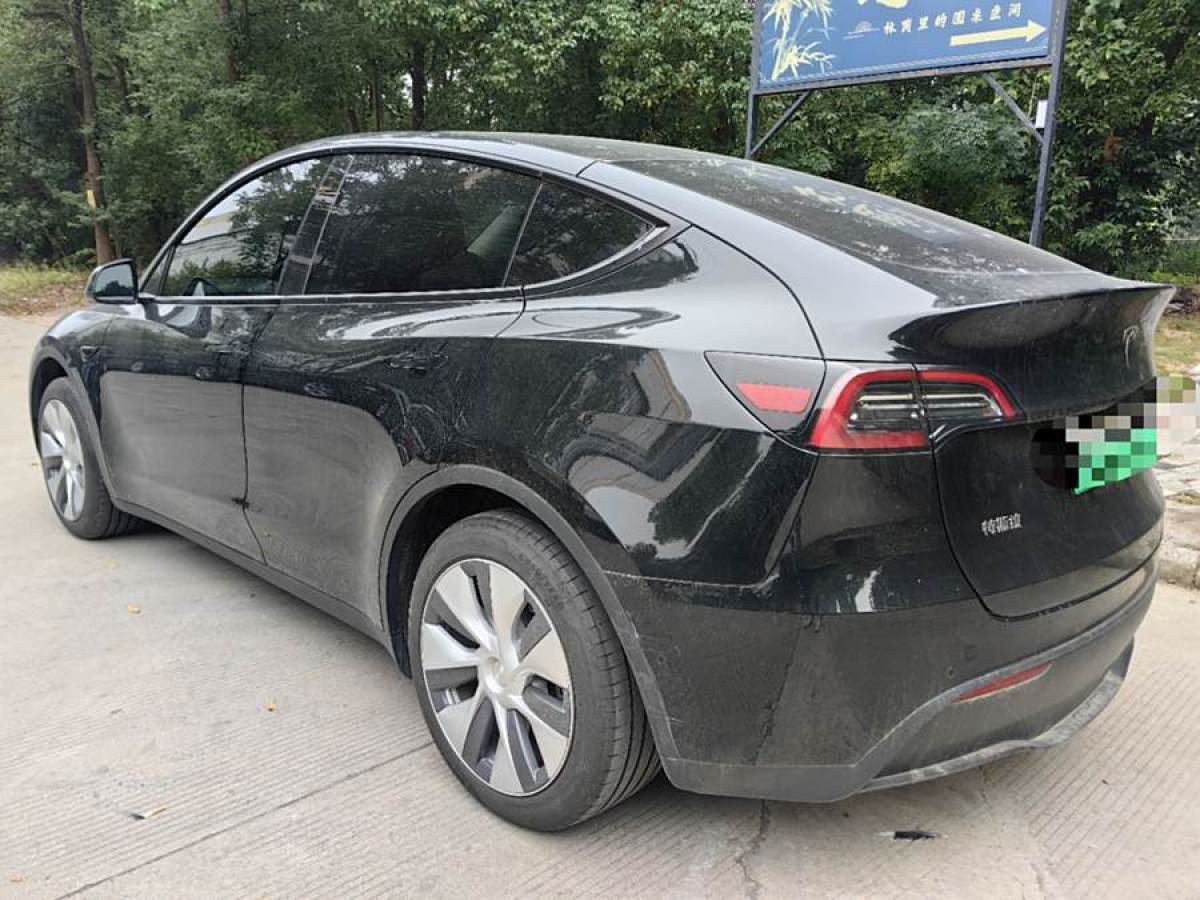 特斯拉 Model Y  2020款 改款 長(zhǎng)續(xù)航后輪驅(qū)動(dòng)版圖片