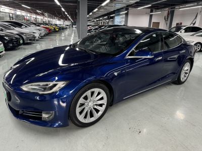 2018年3月 特斯拉 Model S Model S 75D图片