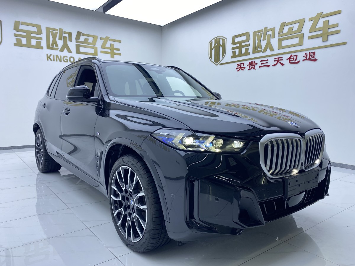 寶馬 寶馬X5  2023款 xDrive 40Li M運(yùn)動(dòng)曜夜套裝圖片