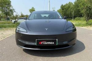 Model Y 特斯拉 Performance高性能版