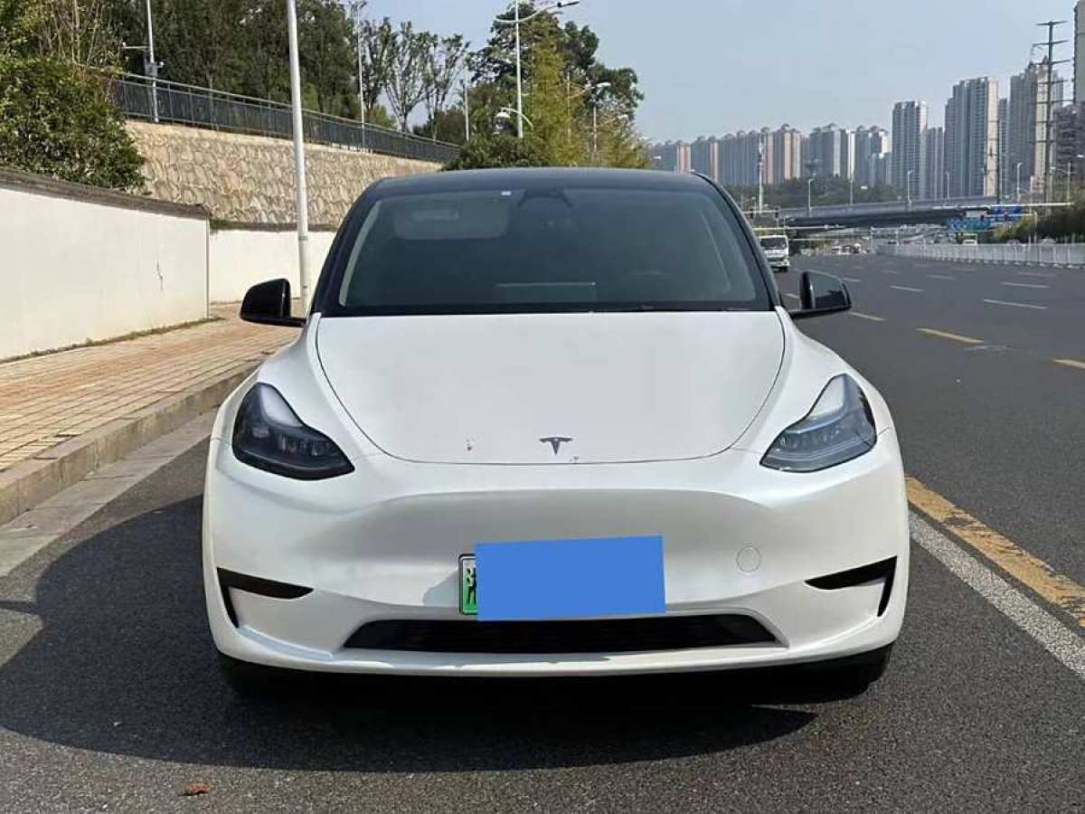 2023年8月特斯拉 Model Y  2020款 改款 長續(xù)航后輪驅動版