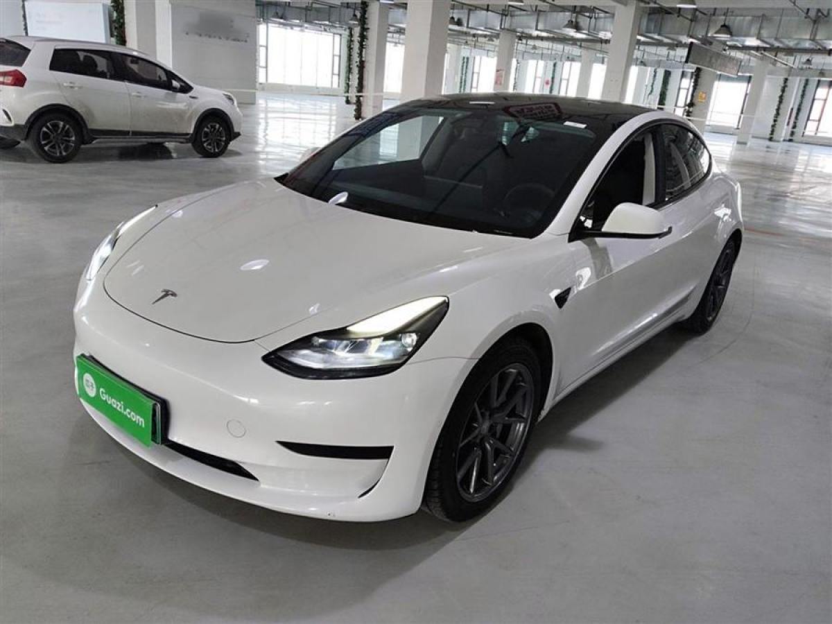 2021年4月特斯拉 Model 3  2021款 改款 標(biāo)準(zhǔn)續(xù)航后驅(qū)升級版