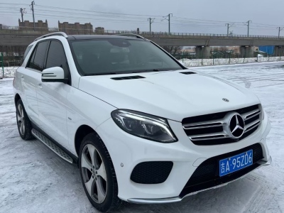 2019年01月 奔驰 奔驰GLE(进口) GLE 320 4MATIC 豪华型臻藏版图片