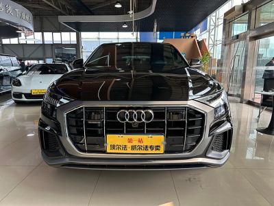 2023年7月 奧迪 奧迪Q8(進口) 55 TFSI 臻選動感型圖片