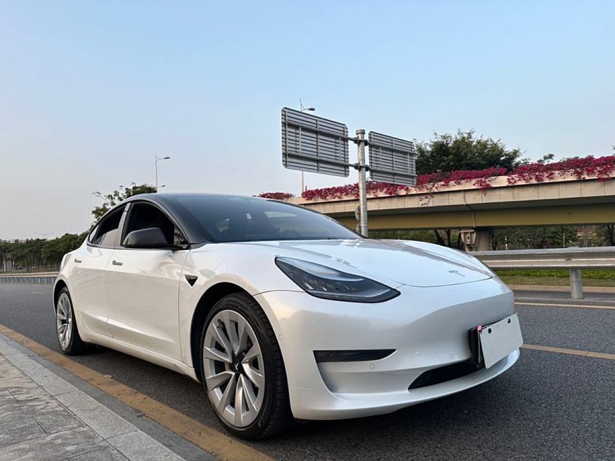 2019年12月特斯拉 Model 3  2019款 長續(xù)航全輪驅(qū)動(dòng)版