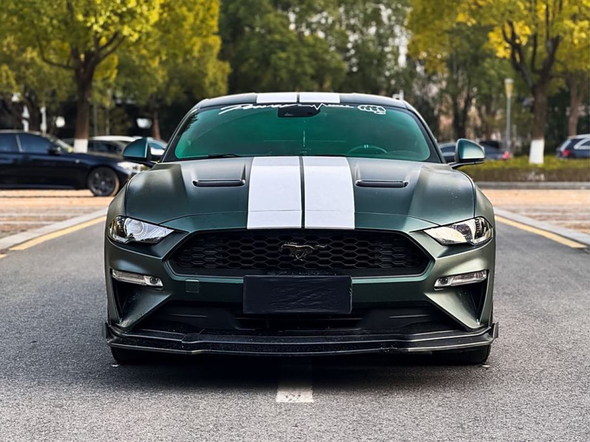 福特 Mustang  2019款 2.3L EcoBoost圖片