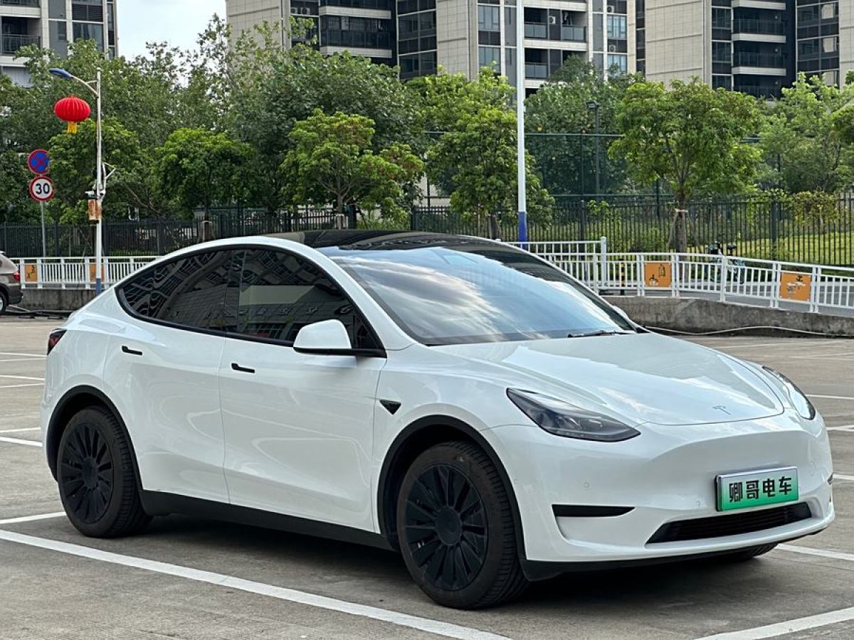 特斯拉 Model Y  2020款 改款 長(zhǎng)續(xù)航后輪驅(qū)動(dòng)版圖片