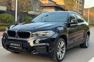 寶馬X6 寶馬 xDrive35i M運動豪華型