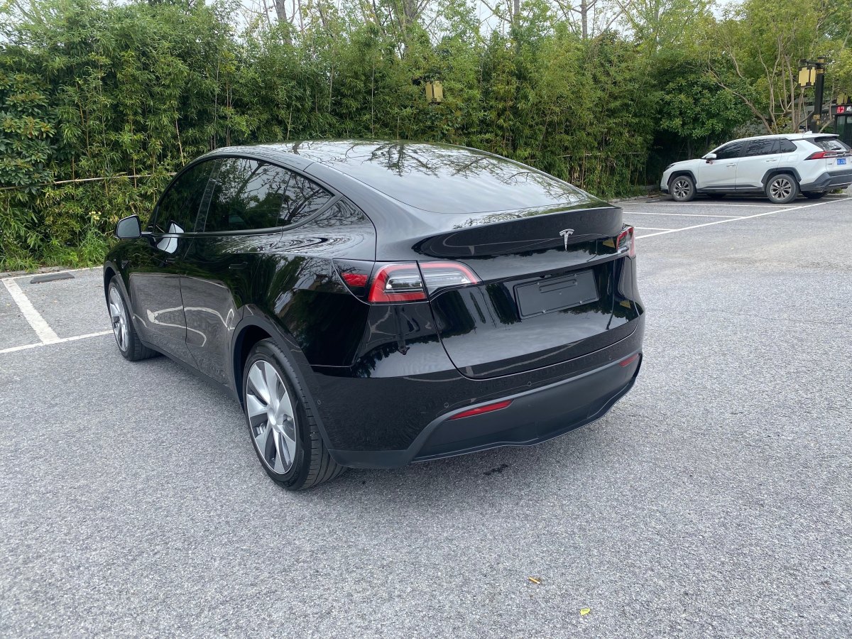 特斯拉 Model Y  2022款 后輪驅(qū)動(dòng)版圖片