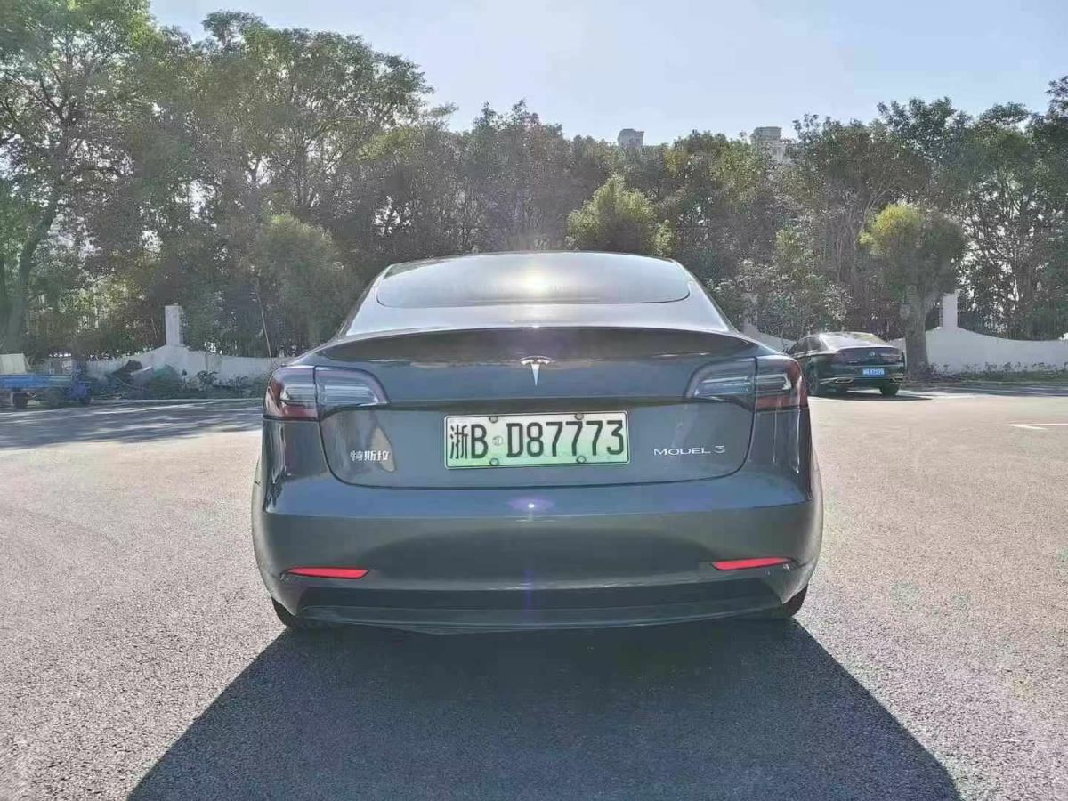 特斯拉 Model X  2020款 Performance 高性能版圖片