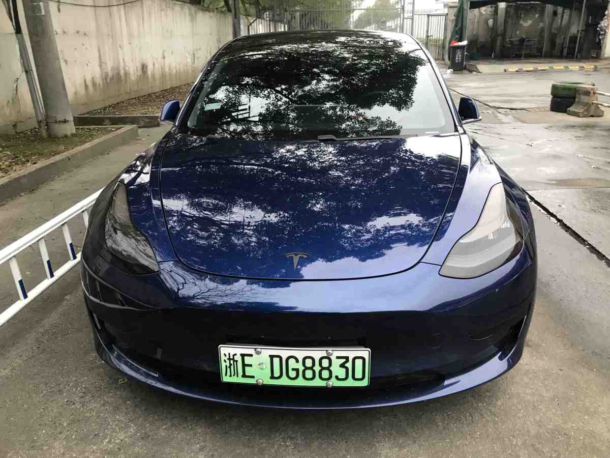 特斯拉 Model 3  2019款 標(biāo)準(zhǔn)續(xù)航后驅(qū)升級(jí)版圖片