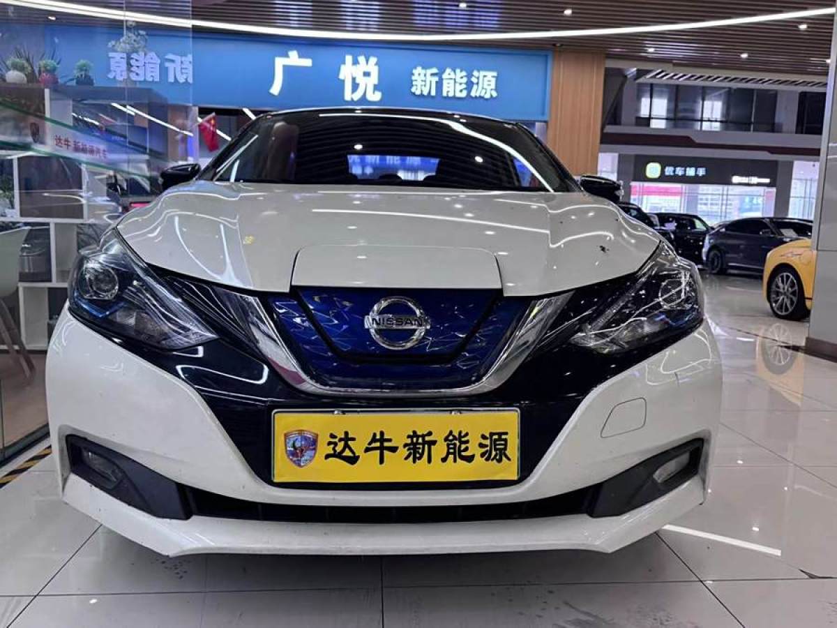 日產(chǎn) 軒逸?純電  2018款 智尊版圖片