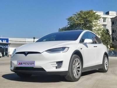 2020年9月 特斯拉 Model X 長(zhǎng)續(xù)航版圖片