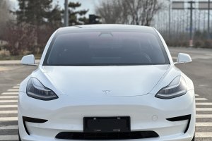 Model 3 特斯拉 標(biāo)準(zhǔn)續(xù)航后驅(qū)升級(jí)版