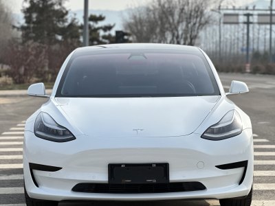 2020年6月 特斯拉 Model 3 標(biāo)準(zhǔn)續(xù)航后驅(qū)升級(jí)版圖片