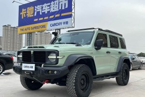 坦克300 坦克 2.0T 風(fēng)林鐵騎