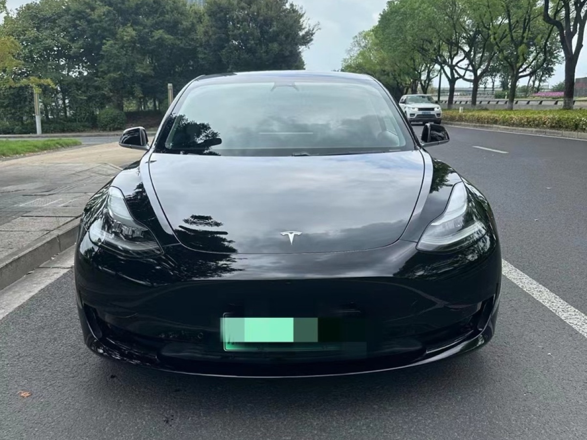 特斯拉 Model Y  2020款 改款 標(biāo)準(zhǔn)續(xù)航后驅(qū)升級版圖片