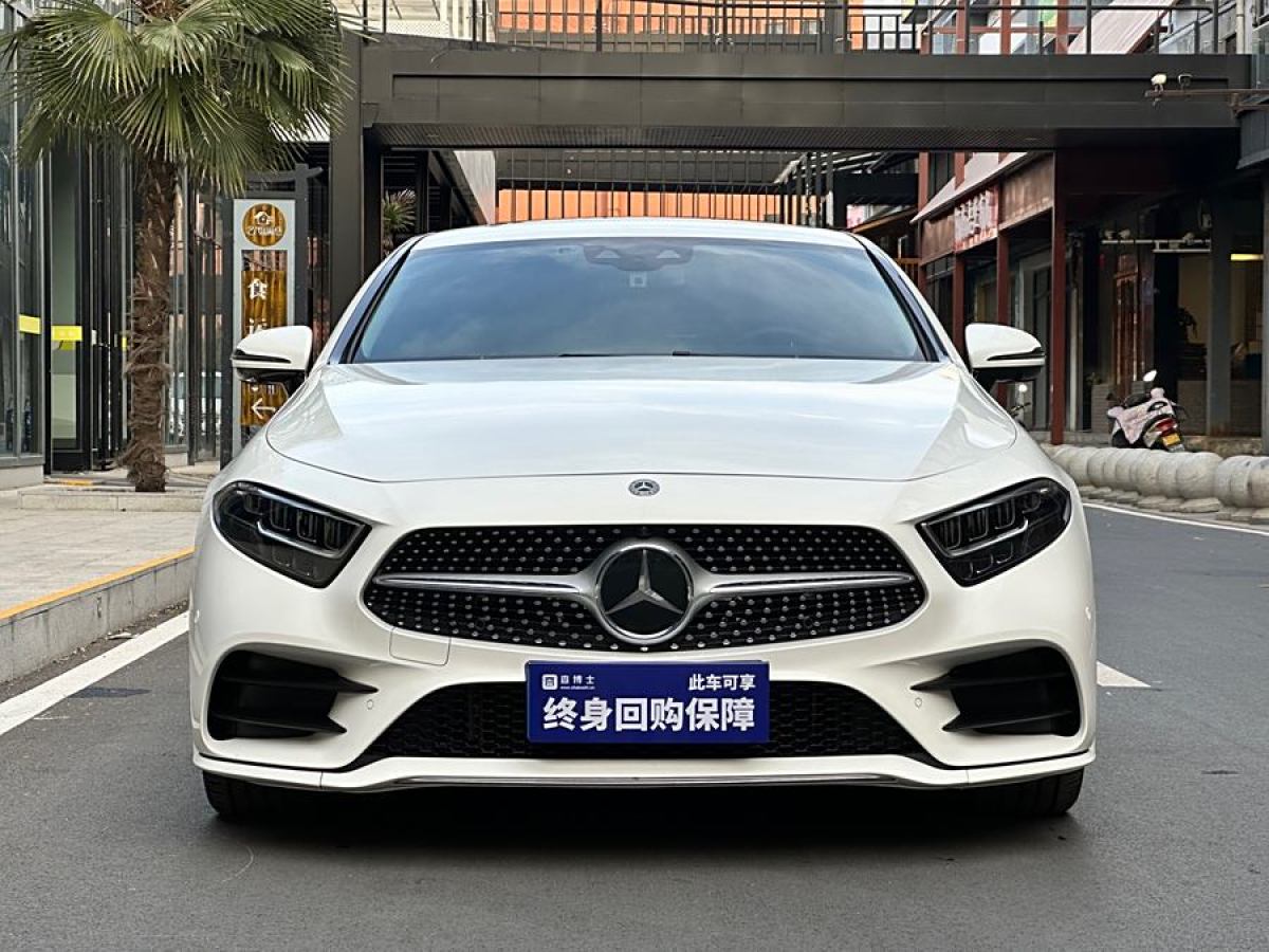 奔馳 奔馳CLS級(jí)  2018款 CLS 300 豪華型圖片