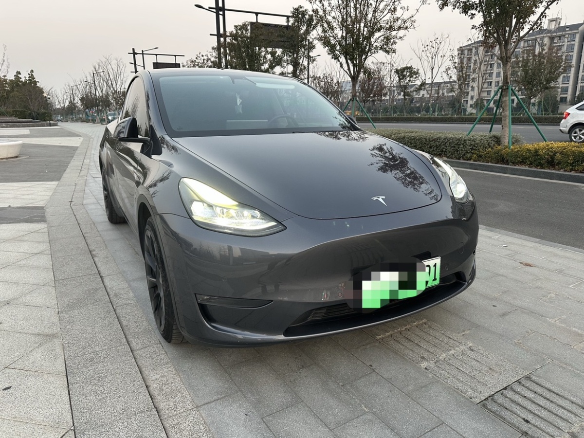 特斯拉 Model Y  2021款 改款 長續(xù)航全輪驅(qū)動版圖片