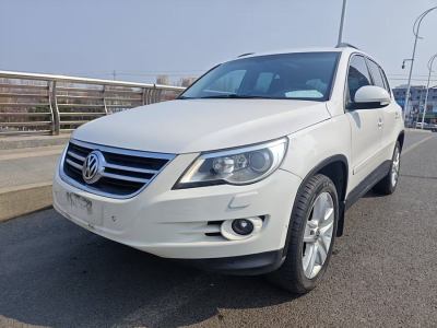 2010年7月 大眾 Tiguan(進(jìn)口) 2.0TSI 豪華版圖片