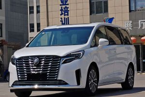 GL8 別克 ES陸尊 653T 豪華型和悅版