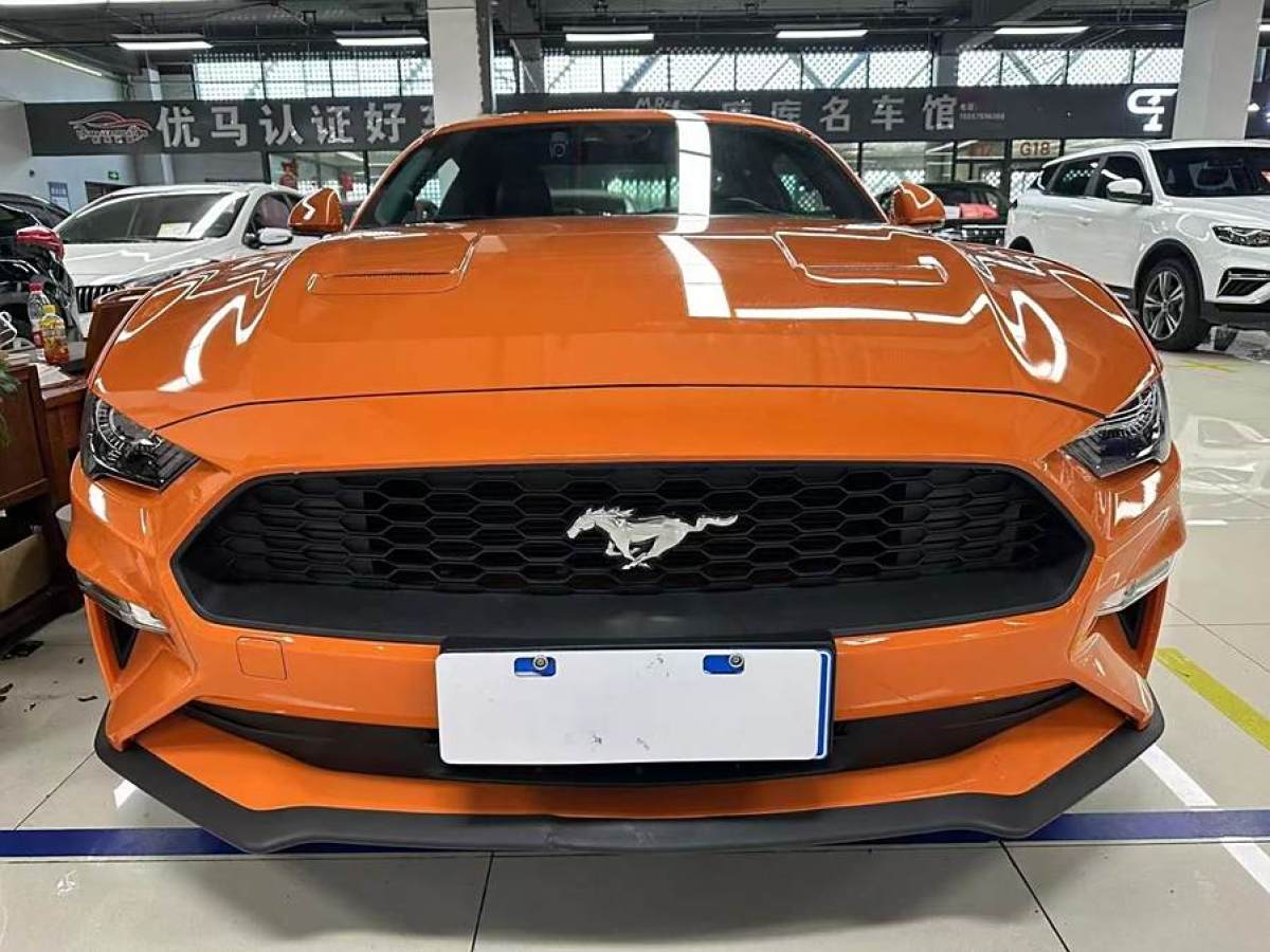 福特 Mustang  2019款 2.3L EcoBoost 性能加強(qiáng)版圖片