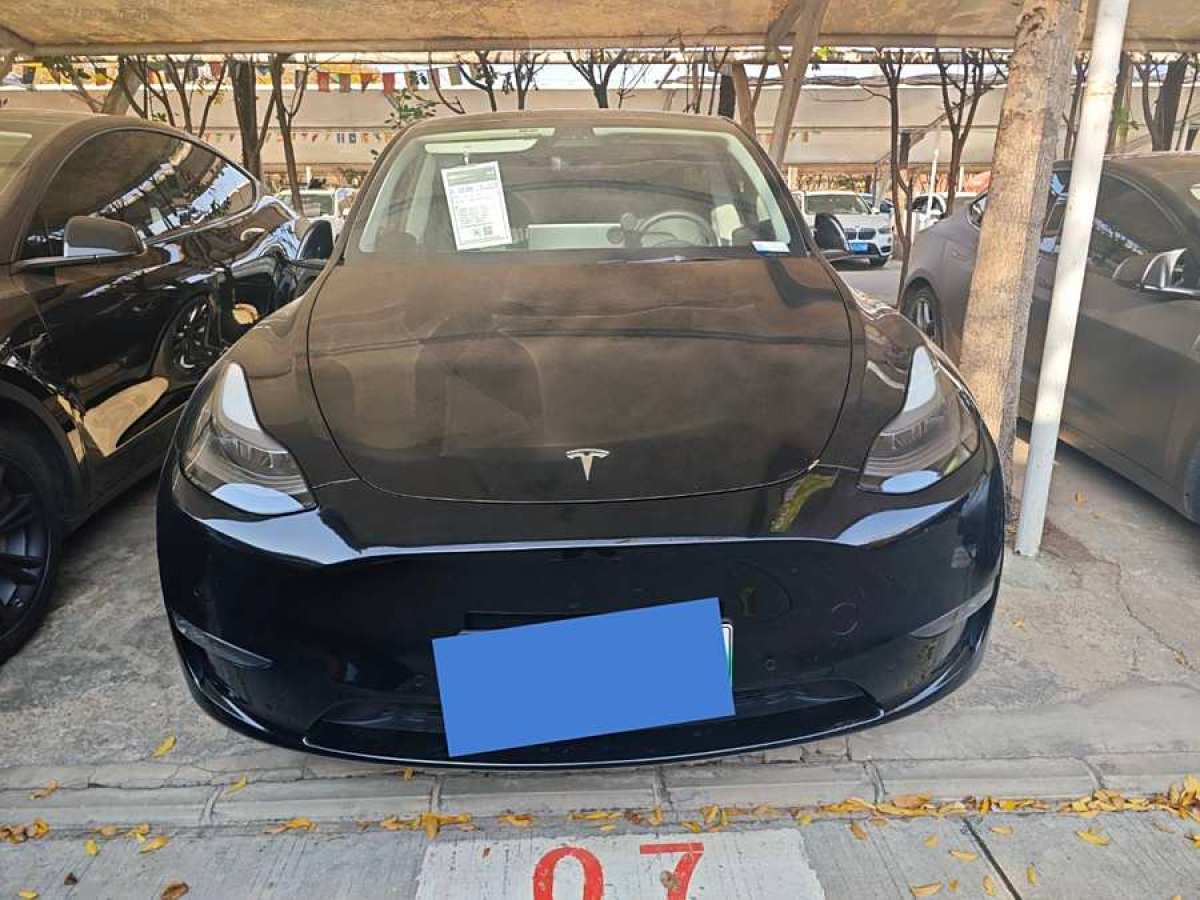 特斯拉 Model 3  2023款 煥新版 后輪驅(qū)動圖片