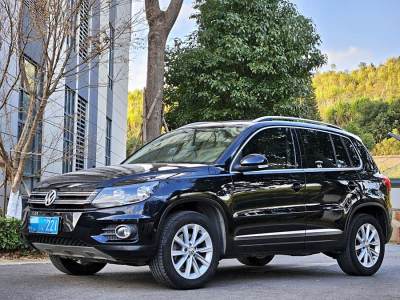 2012年4月 大眾 Tiguan(進(jìn)口) 2.0TSI 舒適版圖片