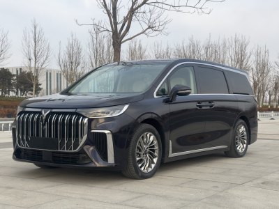 2023年10月 嵐圖 夢想家 PHEV 超長續(xù)航旗艦版圖片