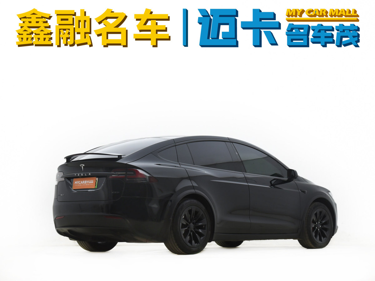 特斯拉 Model X  2017款 Model X 100D 長(zhǎng)續(xù)航版圖片