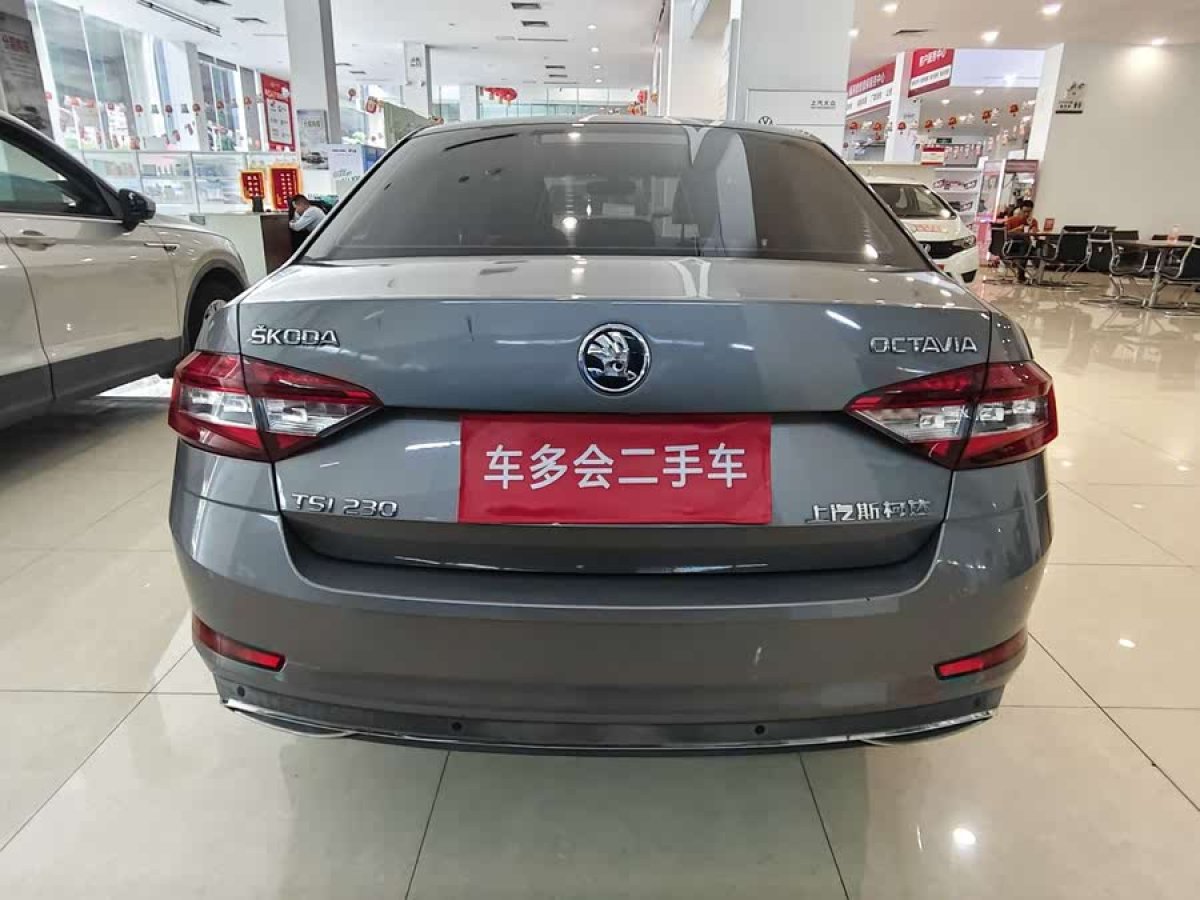 斯柯達(dá) 明銳  2018款 TSI230 DSG豪華版圖片