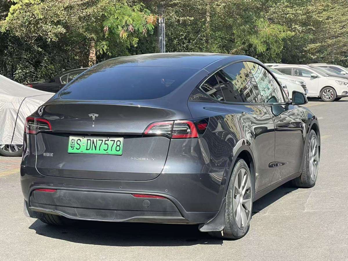 特斯拉 Model 3  2021款 標(biāo)準(zhǔn)續(xù)航后驅(qū)升級(jí)版 3D6圖片