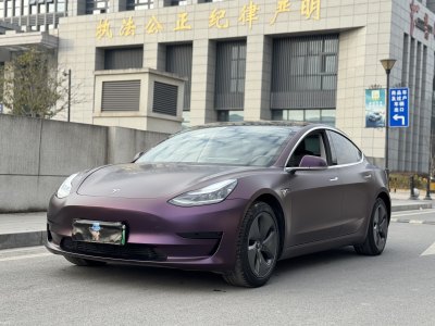 2020年8月 特斯拉 Model 3 標(biāo)準(zhǔn)續(xù)航后驅(qū)升級(jí)版圖片