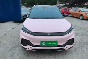 元UP 比亞迪 301KM 領先型
