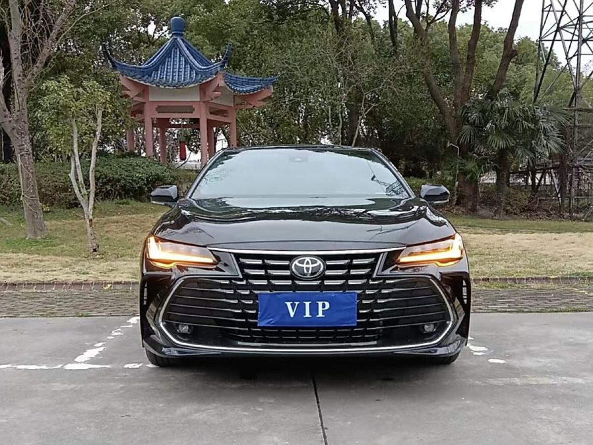 豐田 亞洲龍  2023款 2.0L 進取版圖片