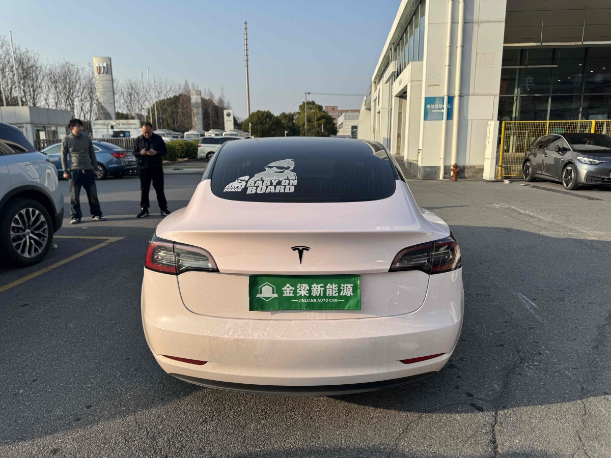 特斯拉 Model 3  2020款 改款 長續(xù)航后輪驅(qū)動(dòng)版圖片