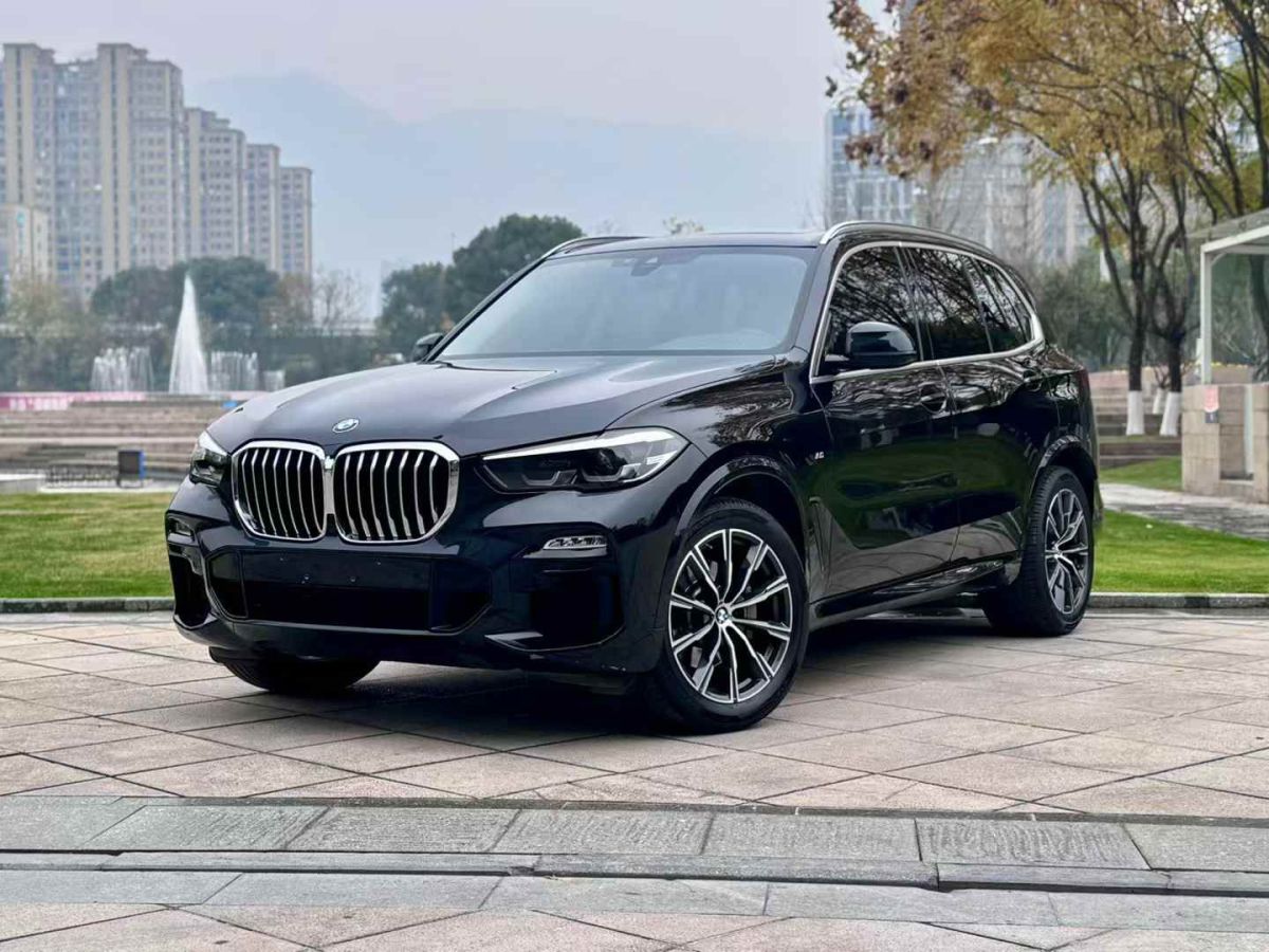 寶馬 寶馬X5  2021款 xDrive30i X設(shè)計(jì)套裝圖片