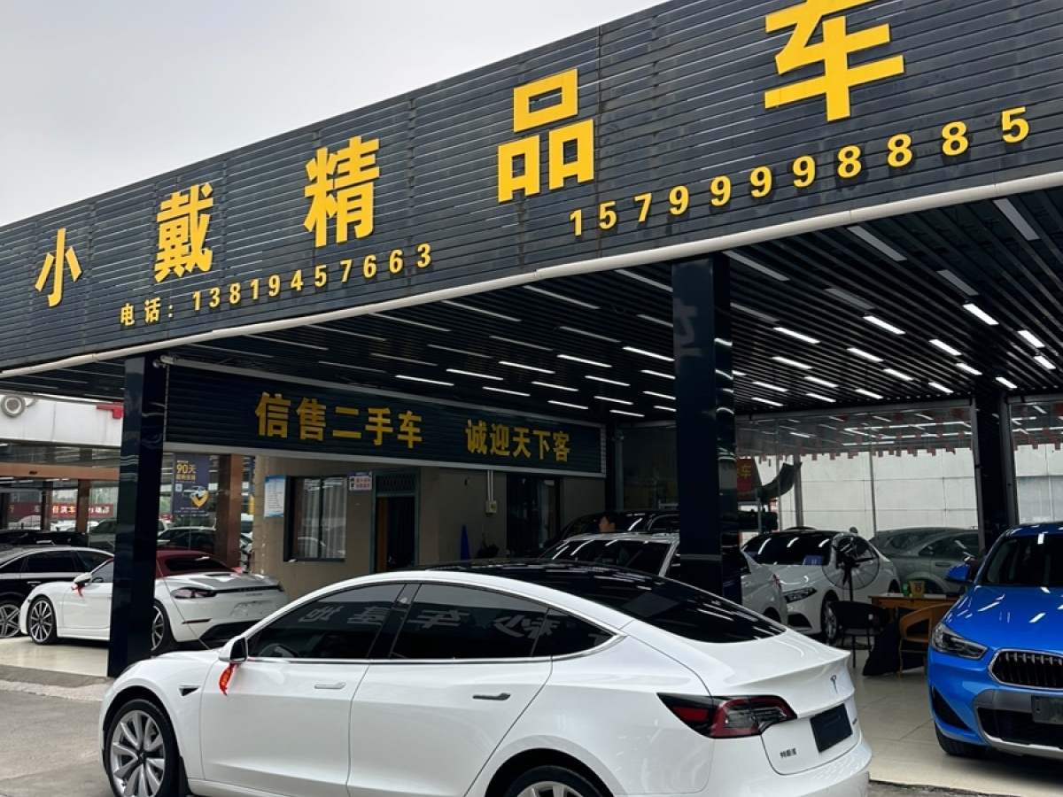 特斯拉 Model Y  2020款 標準續(xù)航后驅(qū)升級版圖片