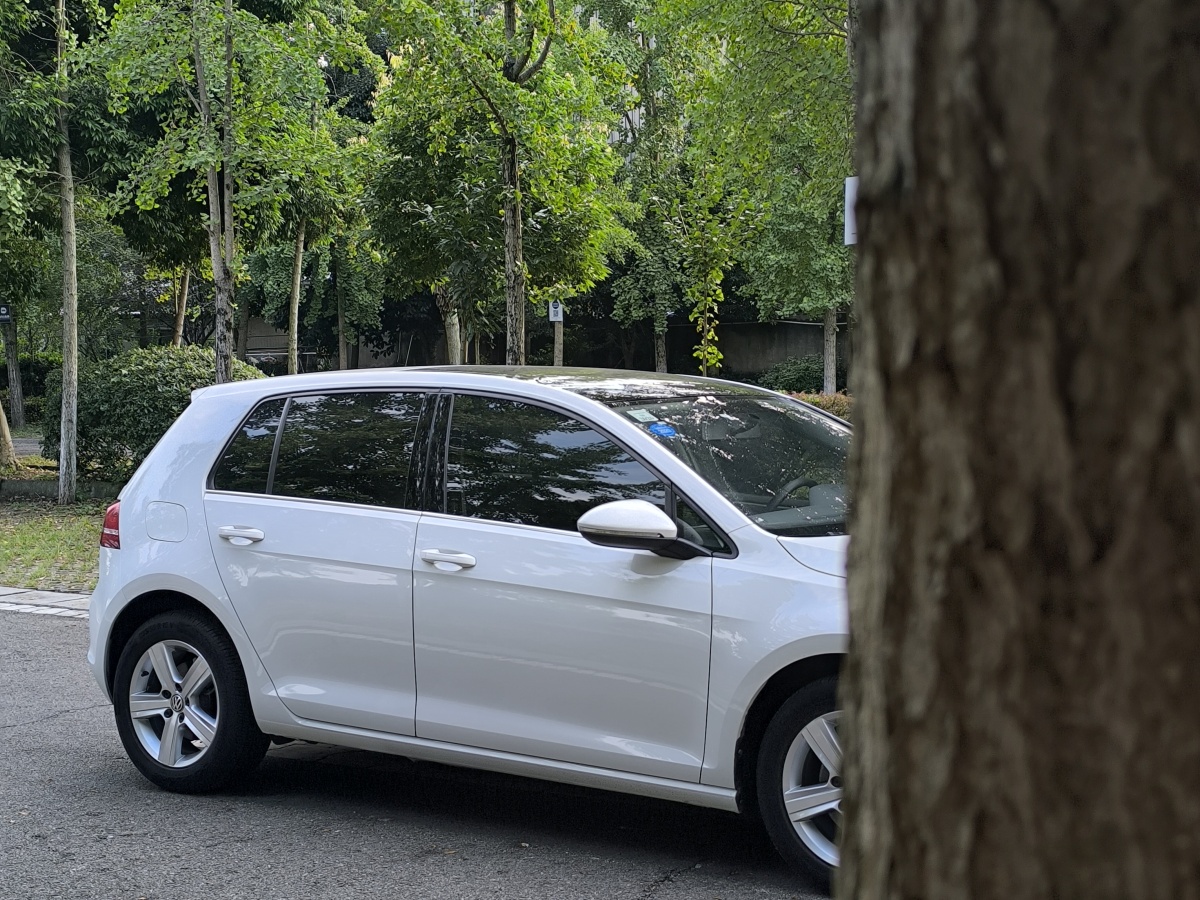 2016年8月大眾 高爾夫  2016款 230TSI 自動舒適型