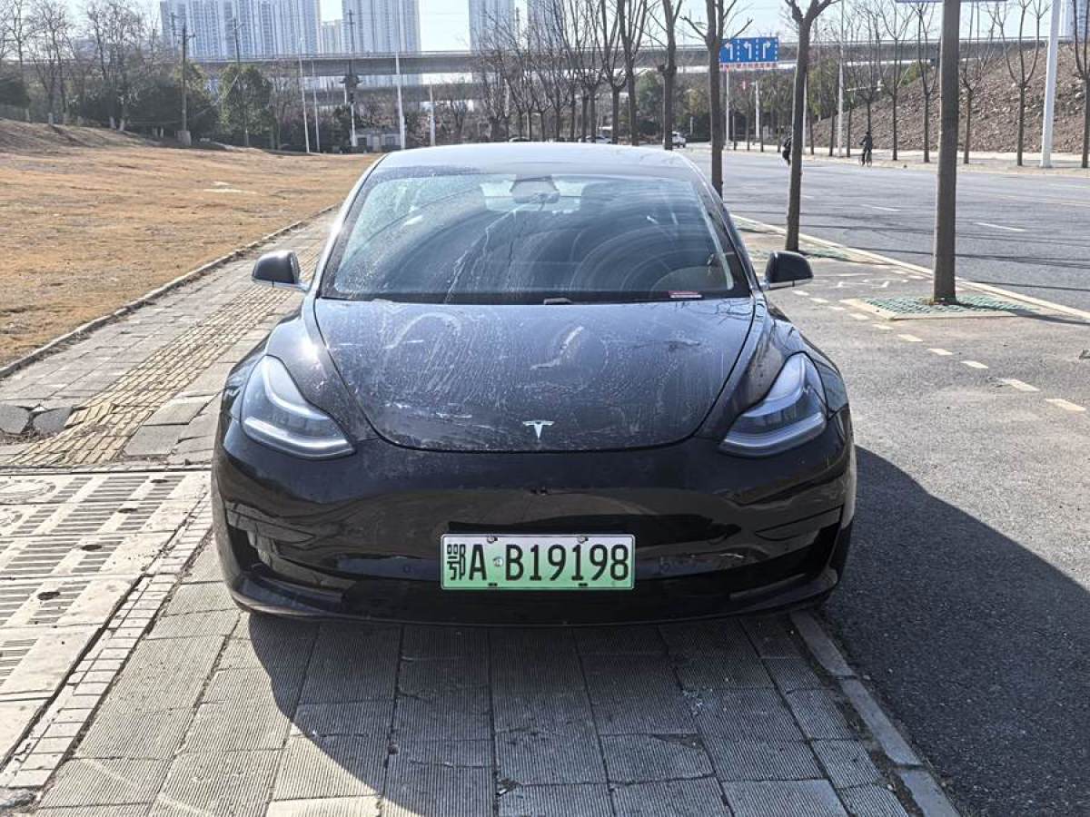 特斯拉 Model 3  2019款 標(biāo)準(zhǔn)續(xù)航后驅(qū)升級版圖片