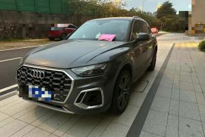 奧迪Q5 e-tron 奧迪 40 e-tron 星耀型 機甲套裝